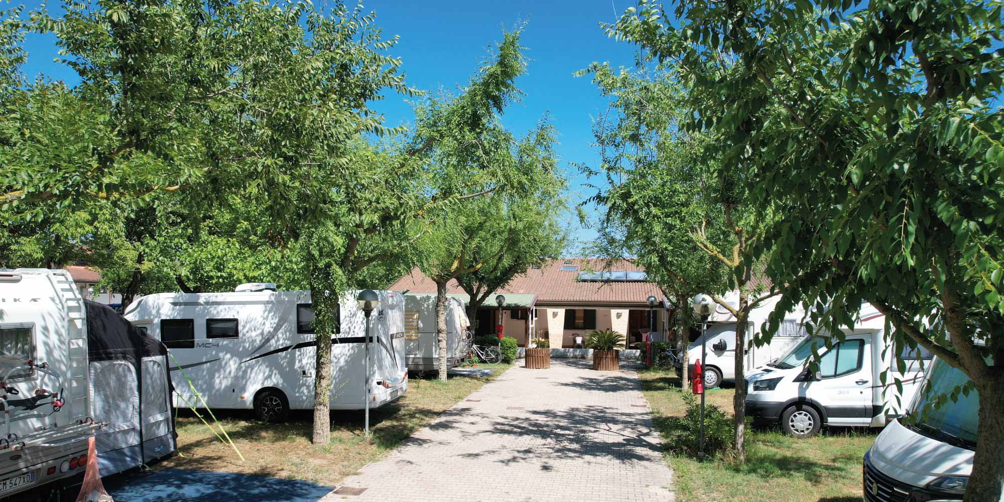 Camping tropical on sale